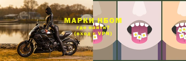 стафф Абаза