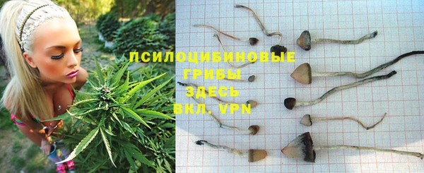 стафф Абаза
