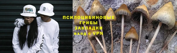 стафф Абаза