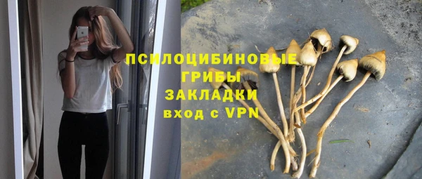 стафф Абаза