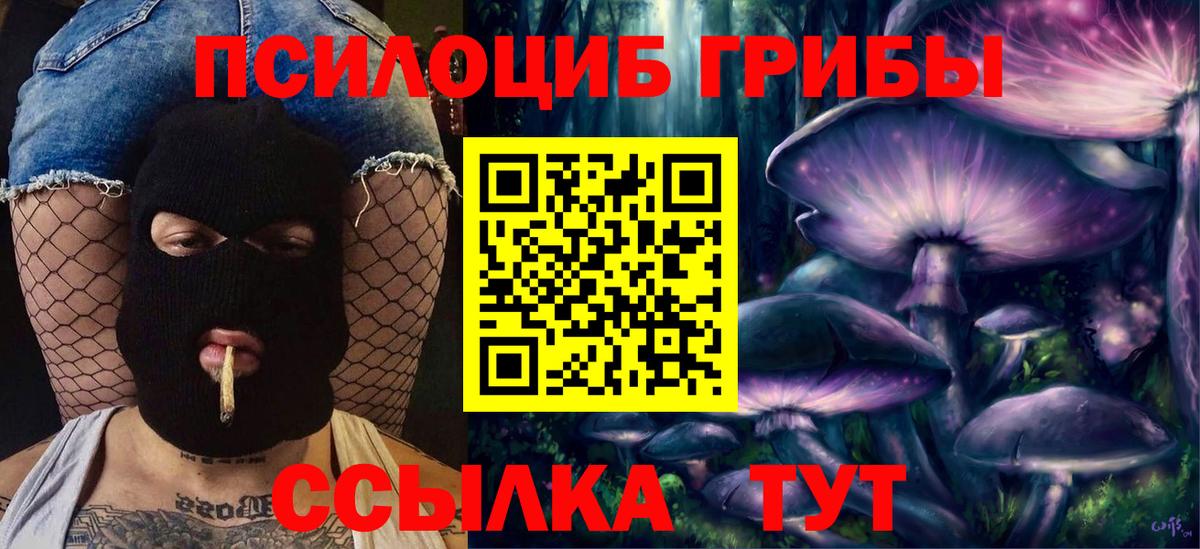 Альметьевск  Псилоцибиновые грибы прущие грибы  Вход с VPN 